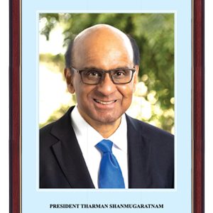 Presidential Portraits Frame (1 Set of 2)